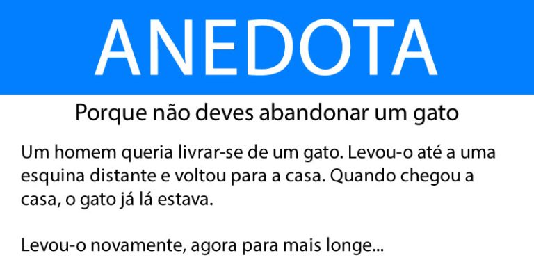 Anedota: Porque não deves abandonar um gato