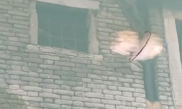 Aforreca é vista em canais de Veneza, cujas águas estão cristalinas com diminuição de poluição