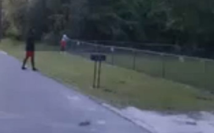 Amigos engendram plano para recuperar bola que caiu dentro de jardim com cão