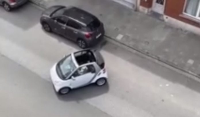 Condutor de SMART tem imensa dificuldade em estacionar em lugar gigantesco