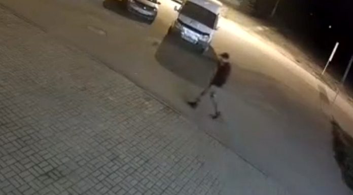 Jovem é atacado por urso enquanto andava tranquilo na rua