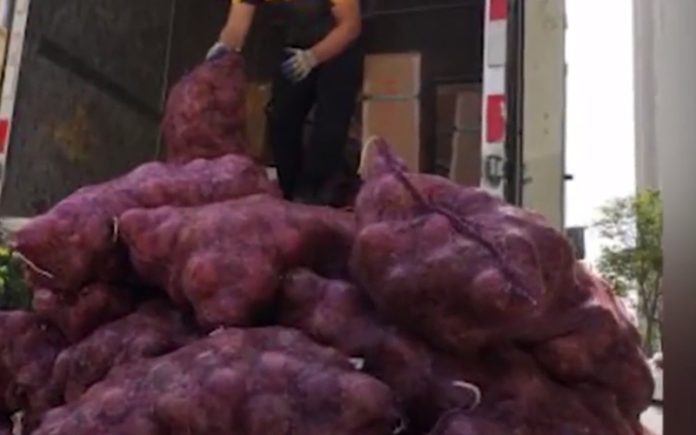 Mulher chinesa envia 1000Kg de cebola para namorado traidor para ele chorar