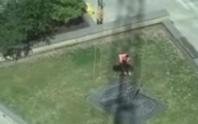 Operador de grua faz a vida negra a homem que estava a tentar apanhar sol