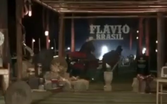 Concerto em Direto para Redes Sociais termina em menos de 1 minutos por causa de cavalo