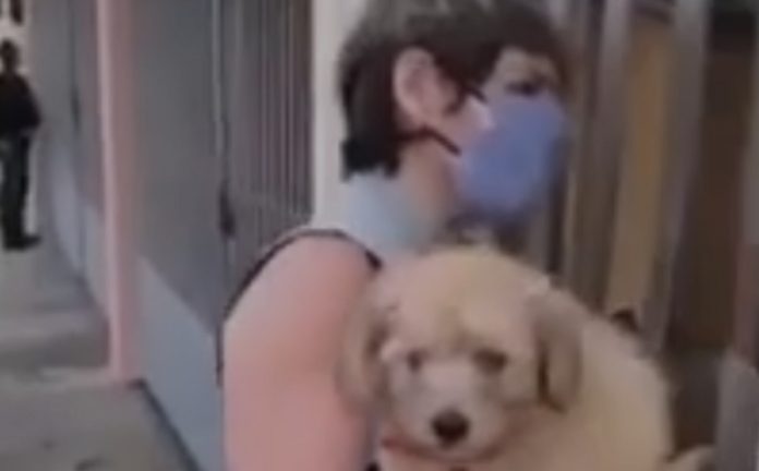 Filha arranja solução perfeita para «curar» mãe que está em quarentena