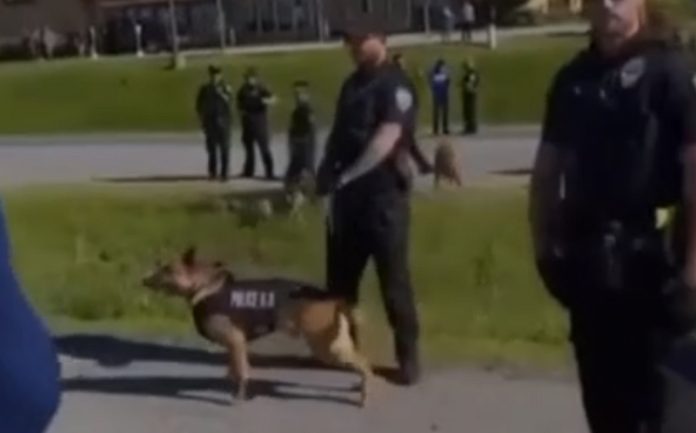 Manifestante nos EUA aproxima-se de cão-polícia e sofre as consequências