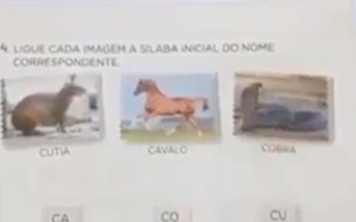 Professora desmancha-se a rir durante aula na Internet