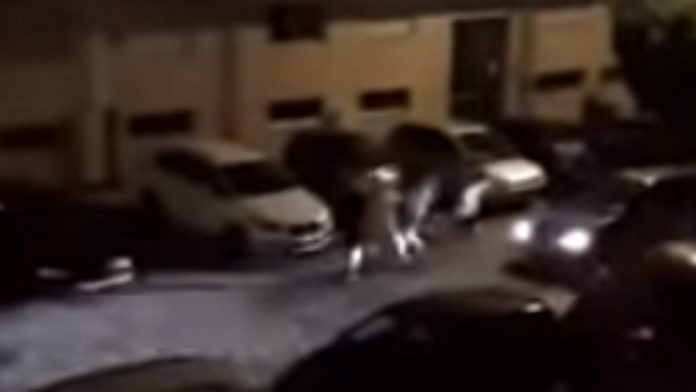 Condutor acelera e tenta atropelar várias pessoas em urbanização de Braga Condutor acelera e tenta atropelar várias pessoas em urbanização de Braga