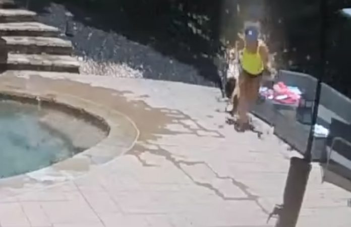 Mulher-escapa-de-levar-com-árvore-em-cima-por-questão-de-segundos