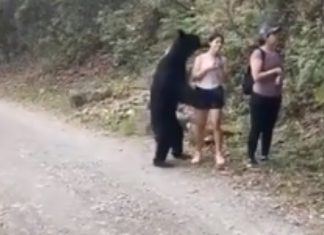 Turista tira selfie com urso numa trilha de um parque no México