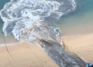 Vídeo mostra água poluente a ser descarregada em praia no México