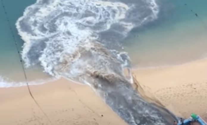 Vídeo mostra água poluente a ser descarregada em praia no México Vídeo mostra água poluente a ser descarregada em praia no México