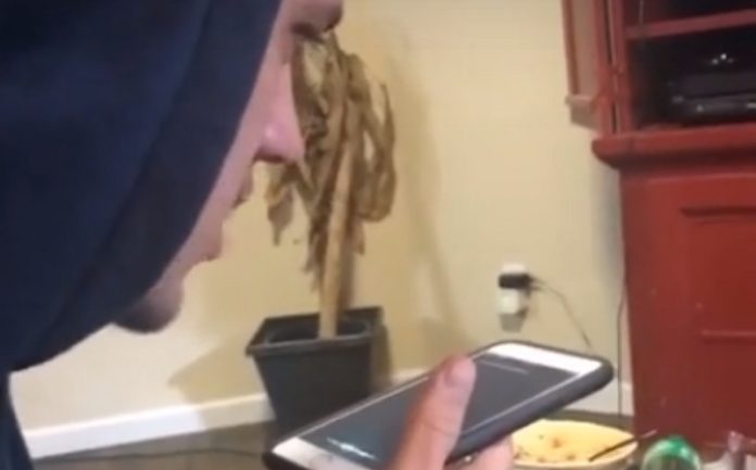 Jovem pede a assistente do iPhone para mudar o seu nome e ri-se imenso com o resultado Jovem pede a assistente do iPhone para mudar o seu nome e ri-se imenso com o resultado