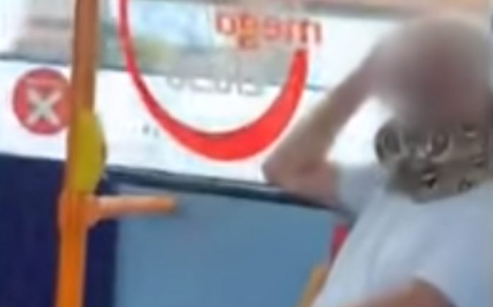Homem viaja de autocarro com uma cobra a servir de máscara Homem viaja de autocarro com uma cobra a servir de máscara