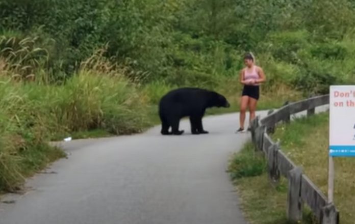 Urso dá palmadinha de motivação a mulher que estava a fazer corrida Urso dá palmadinha de motivação a mulher que estava a fazer corrida
