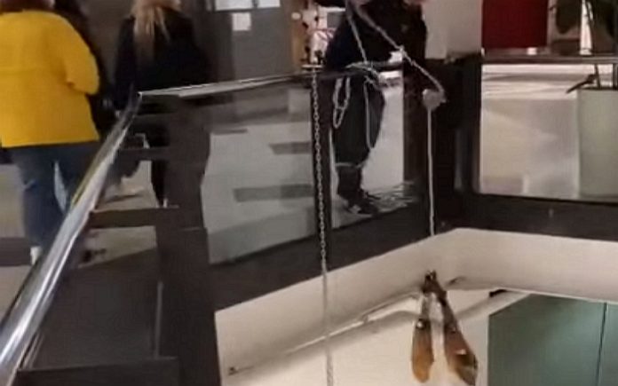 Casal rouba presuntos com uma corda num centro comercial Casal rouba presuntos com uma corda num centro comercial