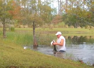 Homem consegue salvar o seu cão das garras de um crocodilo