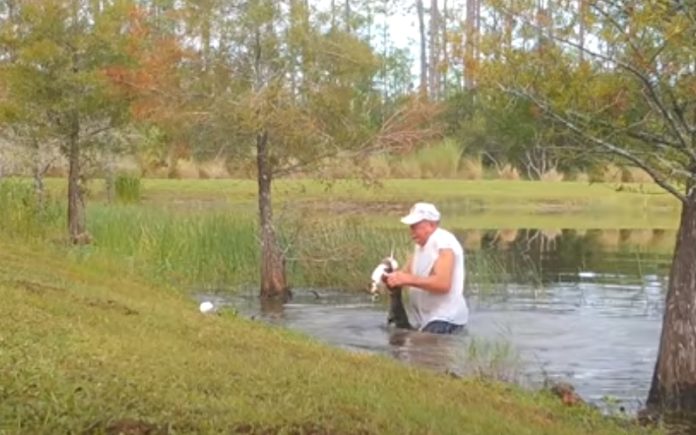 Homem consegue salvar o seu cão das garras de um crocodilo