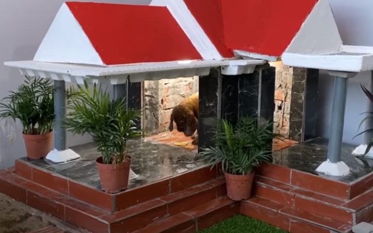 Homem constrói linda mansão para o seu cãozinho
