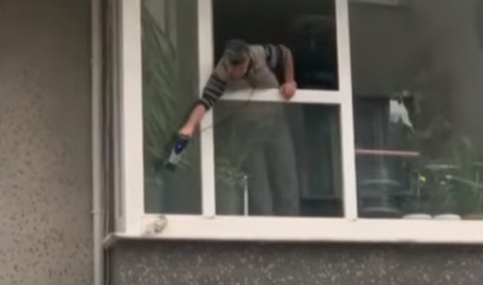 Homem usa secador de cabelo para aquecer pombo em dia de chuva Homem usa secador de cabelo para aquecer pombo em dia de chuva