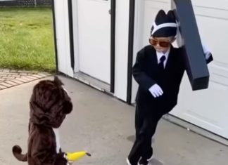 Menino faz sucesso no Halloween a dançar vestido de “dança do caixão”