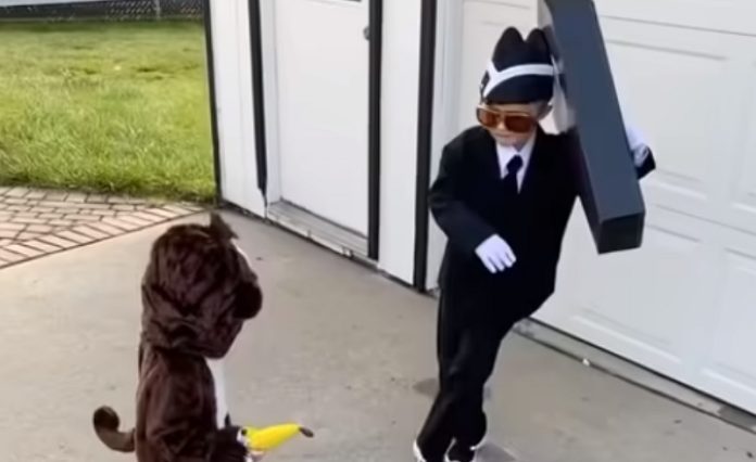 Menino faz sucesso no Halloween a dançar vestido de “dança do caixão” Menino faz sucesso no Halloween a dançar vestido de “dança do caixão”