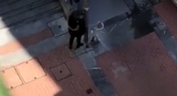 Mulher bate com a cabeça num poste para culpar o companheiro Mulher bate com a cabeça num poste para culpar o companheiro