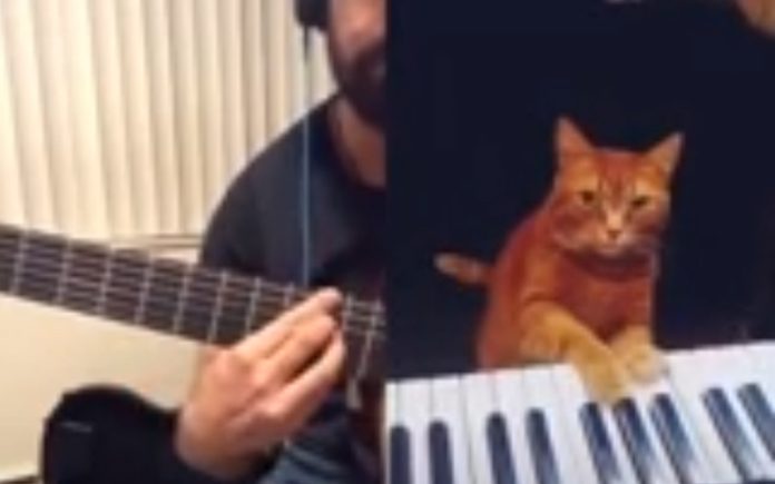 Homem e gato fazem um dueto e derretem corações de internautas Homem e gato fazem um dueto e derretem corações de internautas