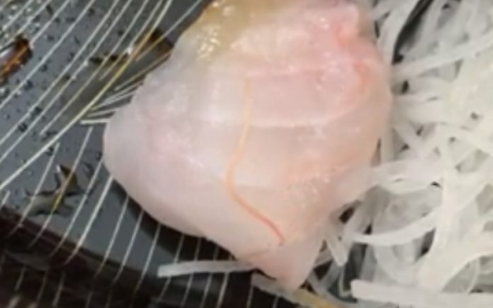 Homem encontra verme em sushi de restaurante de luxo Homem encontra verme em sushi de restaurante de luxo