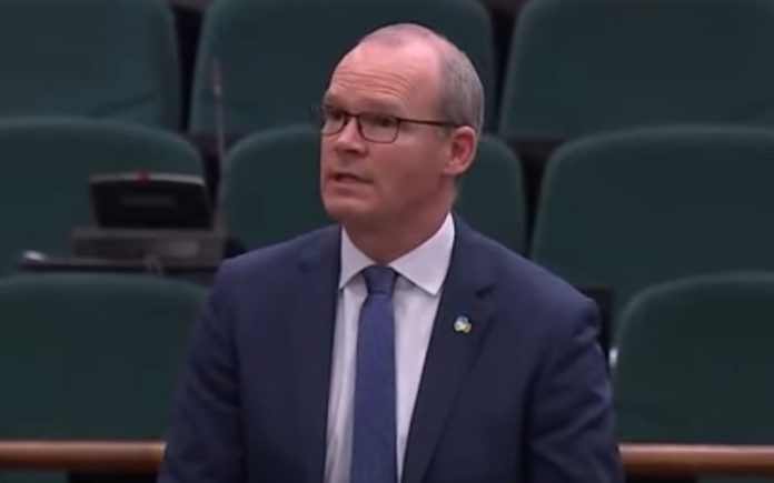 Ministro vai ao Parlamento irlandês dizer às crianças que restrições não são para o Pai Natal