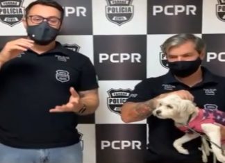 Homem é preso depois de ter abandonado cadela na rua