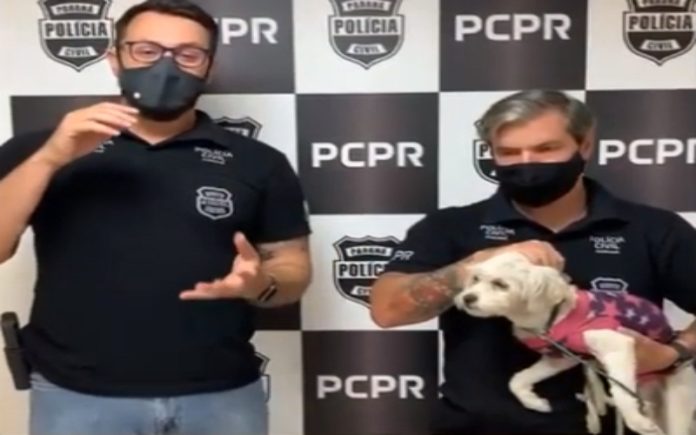 Homem é preso depois de ter abandonado cadela na rua