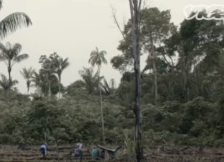 Vídeo mostra porque drogas pesadas são tão caras