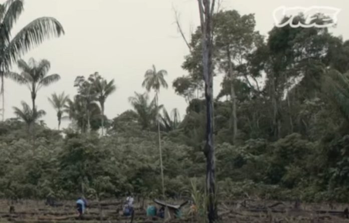 Vídeo mostra porque drogas pesadas são tão caras