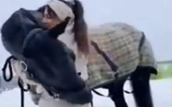 Cavalo sabe apreciar a beleza de uma mulher Cavalo sabe apreciar a beleza de uma mulher