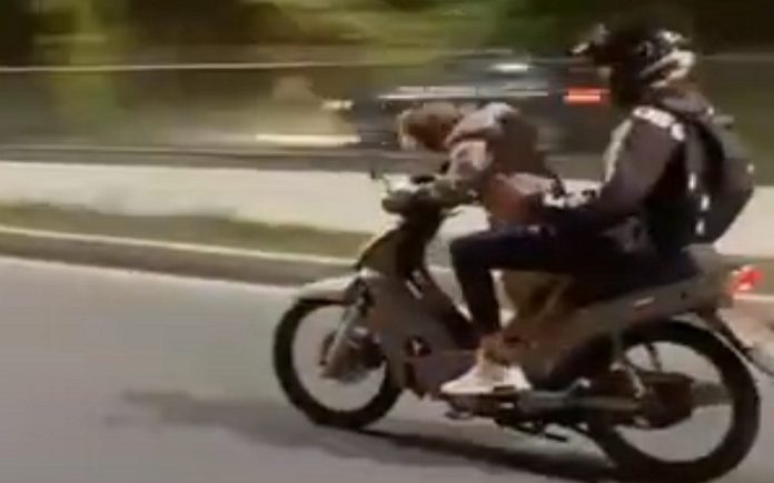 Cão conduz mota a alta velocidade Cão conduz mota a alta velocidade