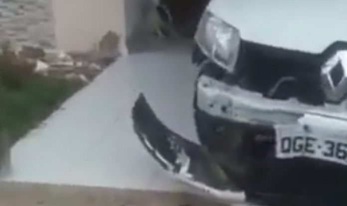 Pitbull destrói carro para tentar apanhar gato que se encondia no motor