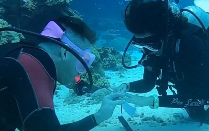 Mergulhador pede namorada em casamento debaixo de água