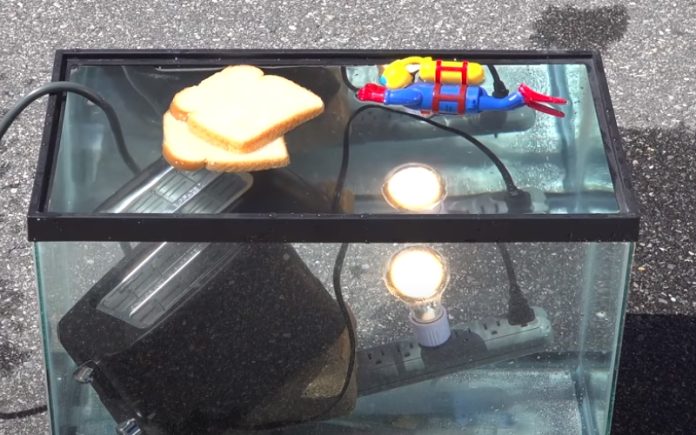 Vídeo mostra o que acontece quando mergulhamos uma tomada dentro de água Vídeo mostra o que acontece quando mergulhamos uma tomada dentro de água