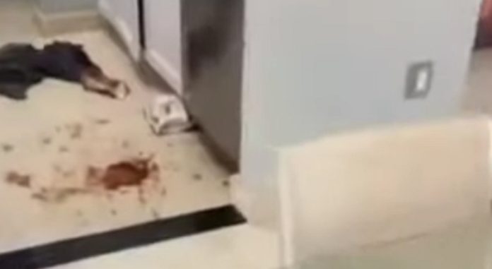 Ex-namorado destrói a sua casa, mas ela ensina uma grande lição Ex-namorado destrói a sua casa, mas ela ensina uma grande lição