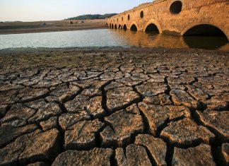 terra seca próxima a água rasa embaixo de ponte