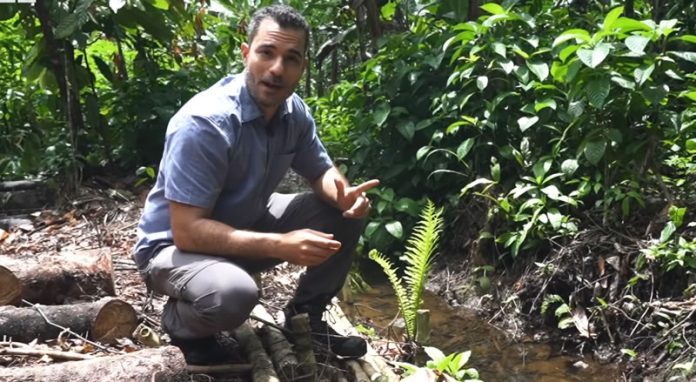 Suíço transformou deserto em floresta no nordeste do Brasil