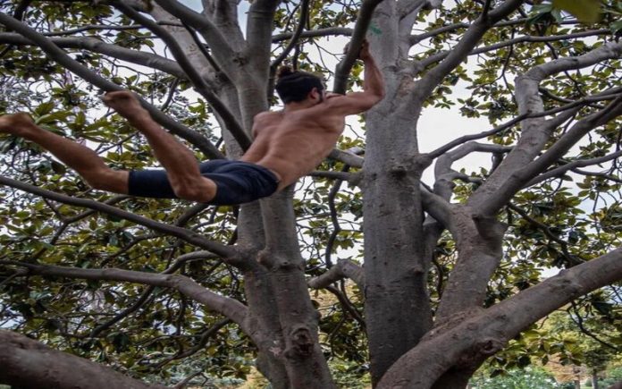 O 'Tarzan de Barcelona' por 10 euros a hora ensina a subir em árvores como um macaco