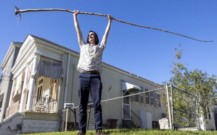 Planta de Quiabo de 5 metros de New Orleans quebra recorde mundial