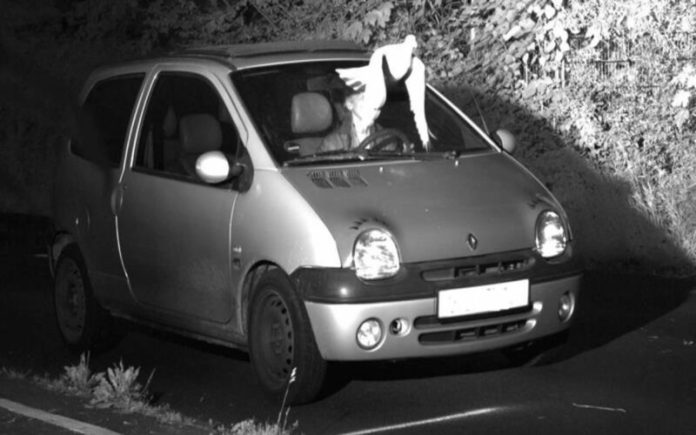 Pombo livra motorista de ser multado por excesso de velocidade na Alemanha