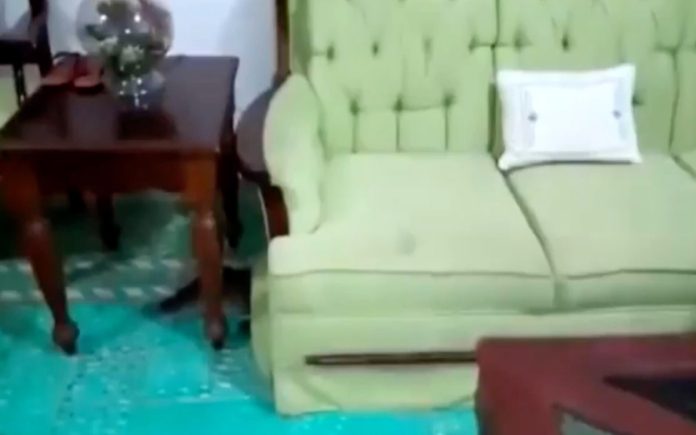 Mulher dá de caras com um crocodilo dentro de casa e expulsa-o com uma vassoura