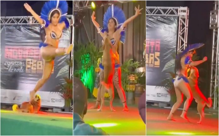 Cão rouba as atenções durante espetáculo de dança