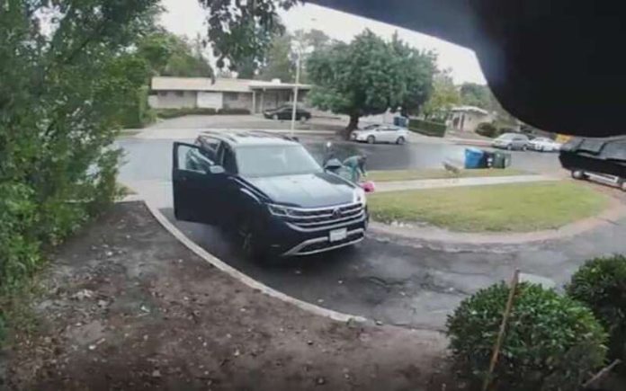 Pai distrai-se e animal tenta roubar a sua filha