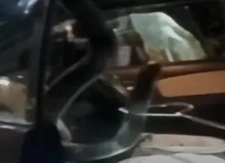 Cobra é encontrada dentro de um carro estacionado na Índia