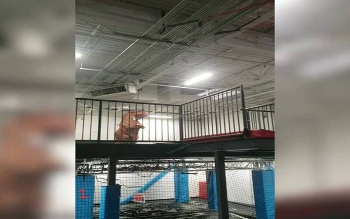 Homem é especialista em fazer acrobacias vestido de dinossauro